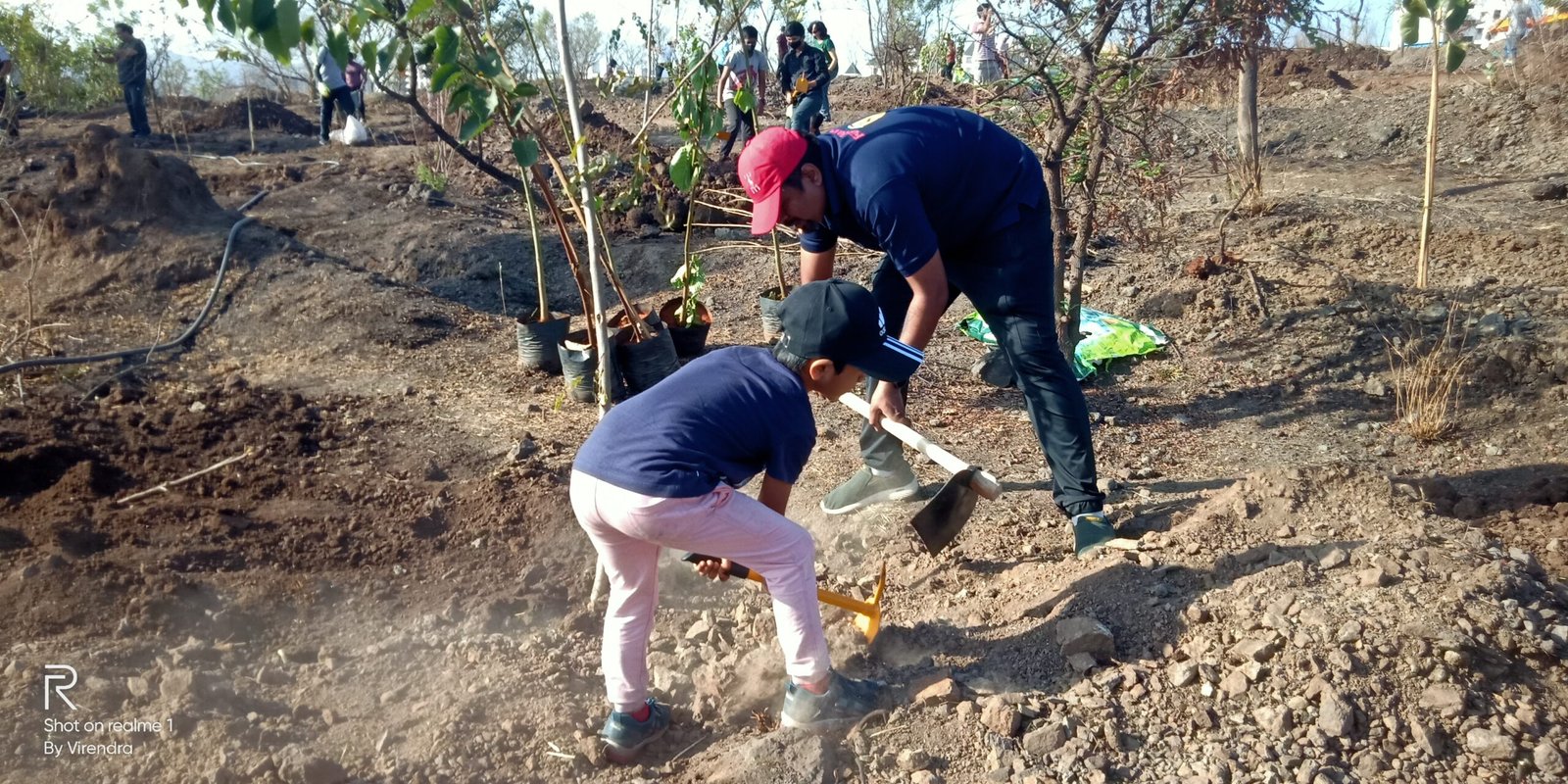 Sapling Plantation by Chapter Past Presidents