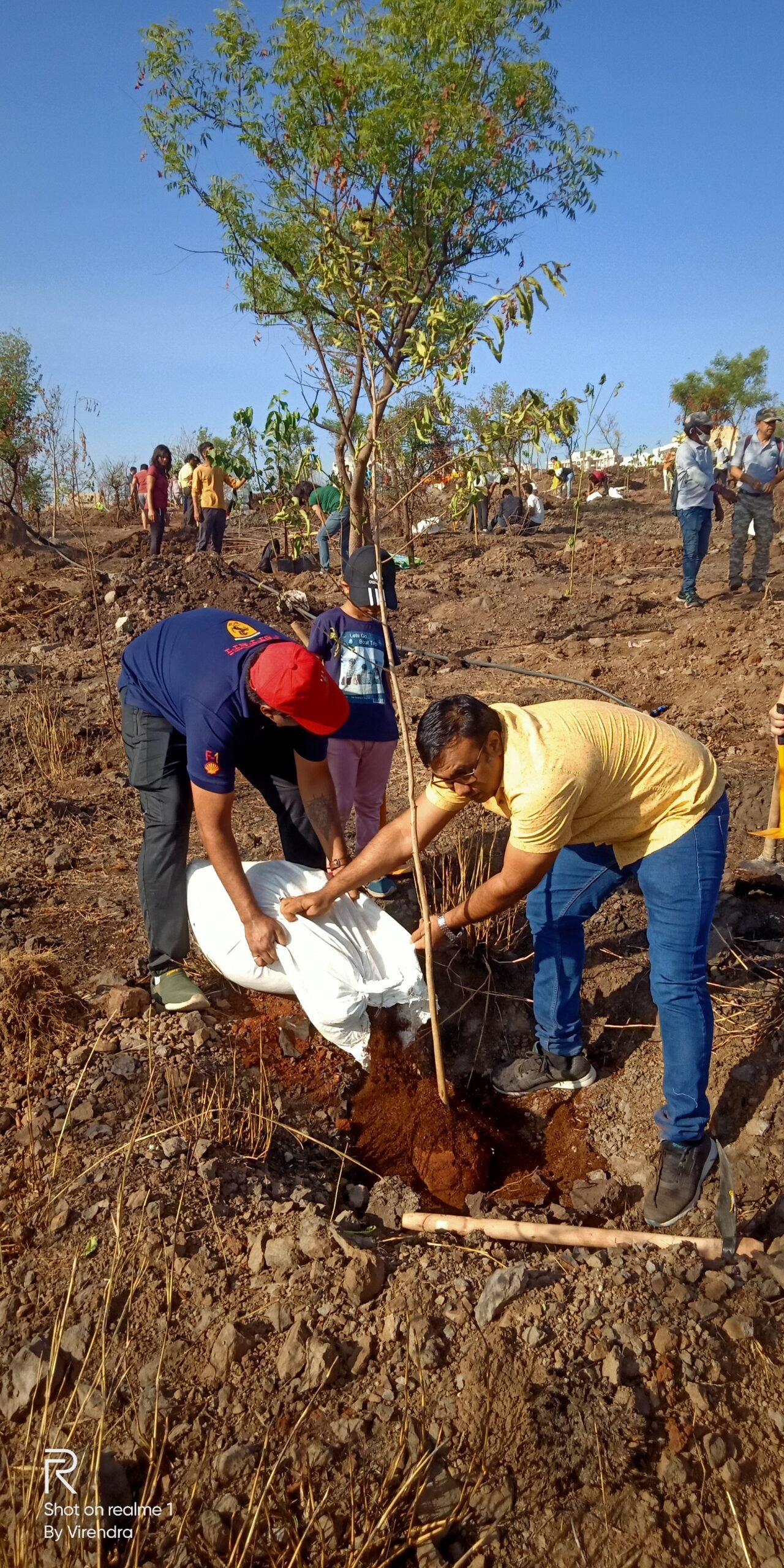 Drip Irrigation Setup for Planted Saplings
